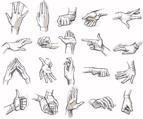 How To Draw Anime Hands And Manga Step by Step